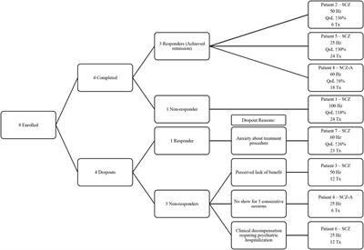 Magnetic Seizure Therapy in Treatment-Resistant Schizophrenia: A Pilot Study